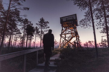 Boardwalk to lookout tower in bog at dawn with pink horizon