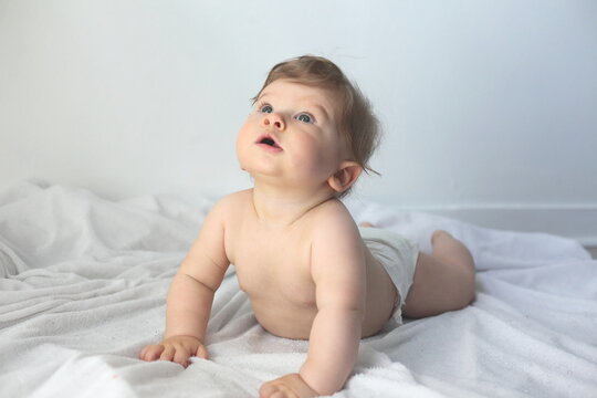 Galam Photos Images Assets Adobe Stock