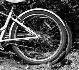 bicycle parked along the parkway path