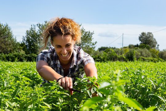 ragazza taglia le piante mentre sorride e fa giardinaggio