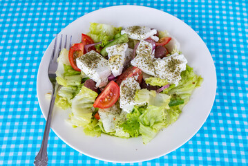 Traditional Delicious Greek foods; fresh greek salad.