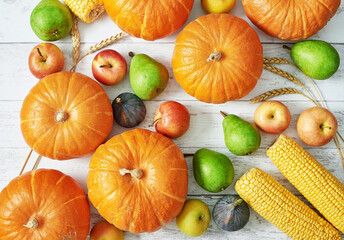Autumn harvest pumpkin background. Autumn harvest vegetables and fruits. Pumpkins, apples, pears, corn on table. Thanksgiving table.Halloween or seasonal autumnal. Greeting card. Fall kitchen.