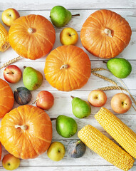 Autumn harvest pumpkin background. Autumn harvest vegetables and fruits. Pumpkins, apples, pears, corn on table. Thanksgiving table.Halloween or seasonal autumnal. Greeting card. Fall kitchen.