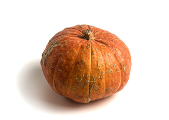 Fresh orange pumpkin isolated on a white background. Small decorative pumpkin.