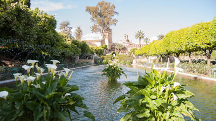 Fototapeta premium Alcázar de los Reyes Cristianos - Córdoba