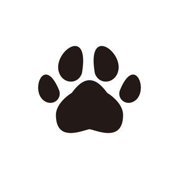 Animal paw vector icon illustration symbol
