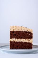 Plate with slice of tasty homemade chocolate cake on a white table
