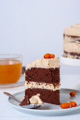 Plate with slice of tasty homemade chocolate cake on a white table