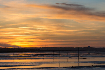 France, Gironde, Gujan-Mestras, Port de Larros, 13-03-18 (11)
