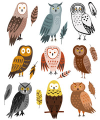 Set of 9 cute owls and 9 feathers. Vector Illustration isolated on white. Night birds - owl, eagle owl, barn owl. Brown, grey, yellow colors. Cartoon flat design. Cute characters.