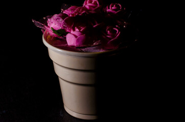 purple color roses in pots and black background