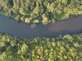 Top view of the river with turns of meanders and green forests in bright sunlight. Creek in the park among the trees. Aerial drone view. Summer or autumn time.
Stream surrounded by green forest.