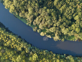 Top view of the river with turns of meanders and green forests in bright sunlight. Creek in the park among the trees. Aerial drone view. Summer or autumn time.
Stream surrounded by green forest.