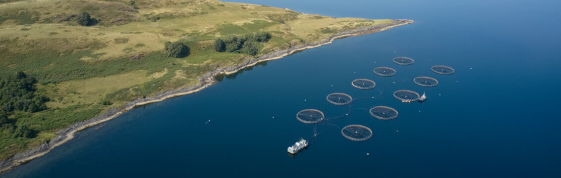 Fish farm salmon round nets in natural environment Loch Awe Arygll and Bute Scotland