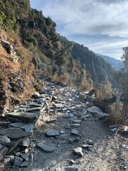 stream in the mountains