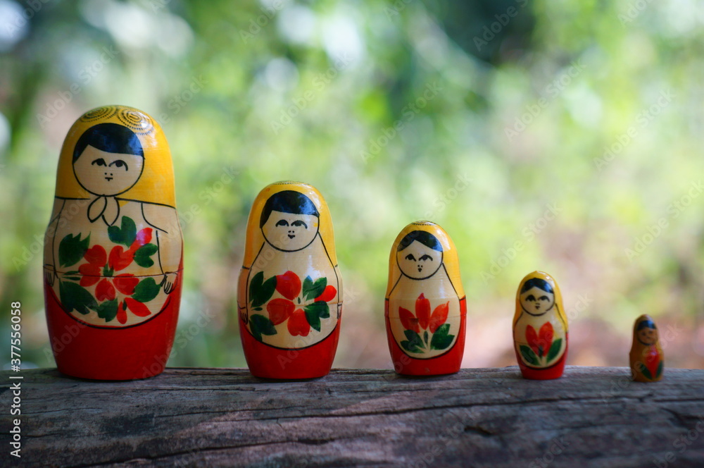 Wall mural Nesting dolls stand in a row on a colored background.