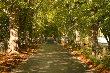 Autumn colors in the beautiful Stockholm Archipelago, Sweden
