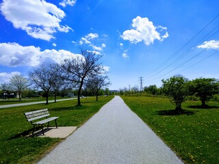 park in the city, amazing view, summer, vibes, beautiful, simple, clouds, walkway, flowers