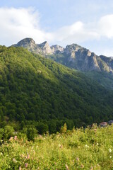 Naklejka premium The beautiful and dramatic landscapes of the Valbona Valley in Northern Albania