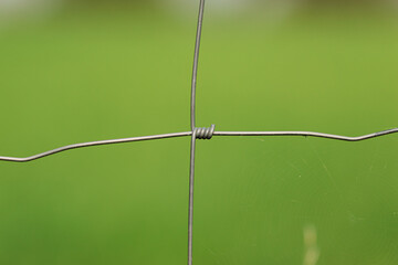 Close Up Zaun