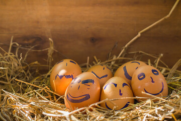 The easter eggs in a nest straw