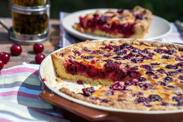 Homemade cherry pie on rustic background, close up