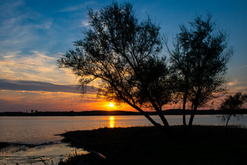 Sun setting behind pinaster trees silhouette at deserted lagoon with blue sky. Nature landscape at golden hour. Taken at 