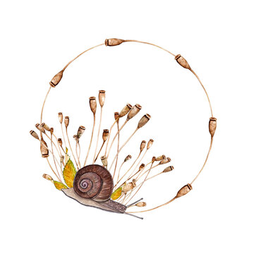 Watercolor illustration of beautiful autumn wreath with brown snaile with poppies boxes for amazing design on white isolated background