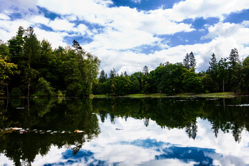 Obraz na płótnie Canvas reflection of trees in the lake