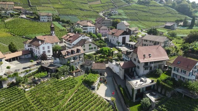 Flying above Lavaux, Switzerland.