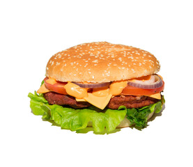 Tasty and appetizing hamburger