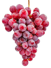 Close up a bunch of red grapes isolated on white background