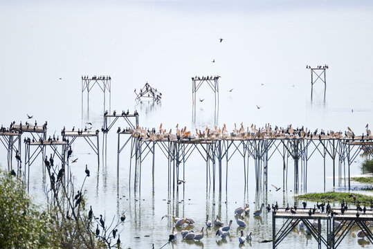 Bird Paradise "kus cenneti"  National Park in Balikesir - Turkey