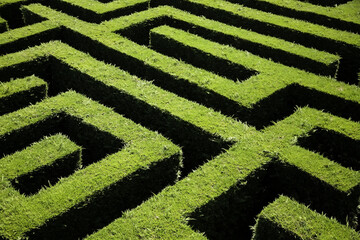Hedge maze garden