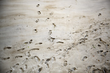 Footprints on beach