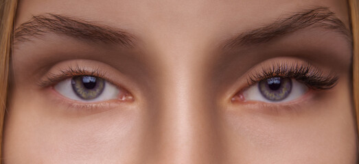 Eyelash Extension Procedure. Woman Eye with Long Eyelashes. Close up, selective focus.