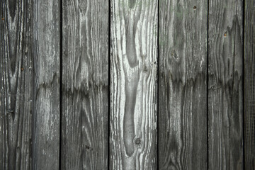 Background of weathered boards. The wall is gray plank old.
