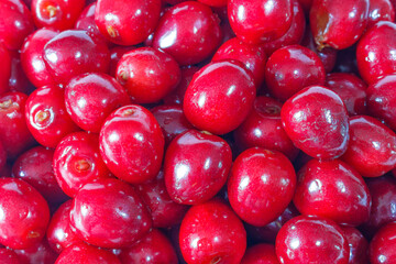 Red cherries close up background texture