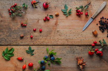 Wildfrüchte overhead Top View Wild Früchte Herbst Holunderbeeren Hagebutte Weißdorn 