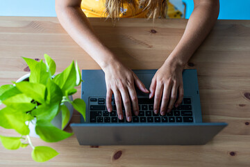 woman working with laptop and plant