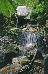 chile nature ,patagonia 
