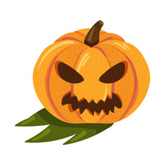 Fototapeta premium Halloween pumpkin with angry face for holiday