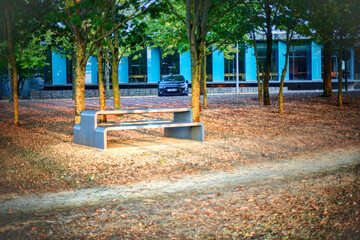 Naklejka premium bench in the park
