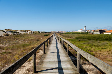 Fototapeta na wymiar Path to the beach in aveiro, portugal