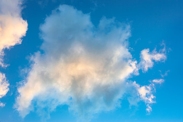 Obraz premium Fluffy cumulus clouds in the evening light against blue sky. Suitable as background or wallpaper.