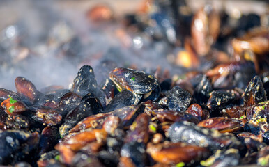 close up of a seafood