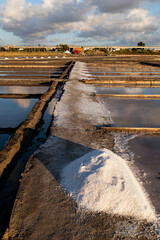 Salt flats in Aveiro, Portugal