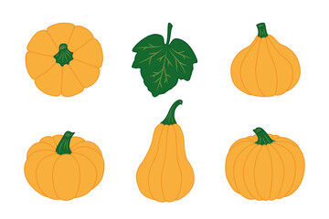 Pumpkin icons collection. Colorful signs Isolated on white background. Flat style. Vector illustration. Great for use as an additional design, cards, prints, textiles, logo, labels, creatives ideas.