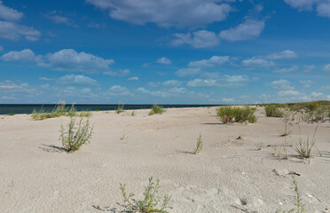 Wild beach landscape near Prymorske, Ukraine.