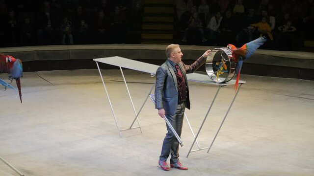 Performance of a perrot trainer in a circus